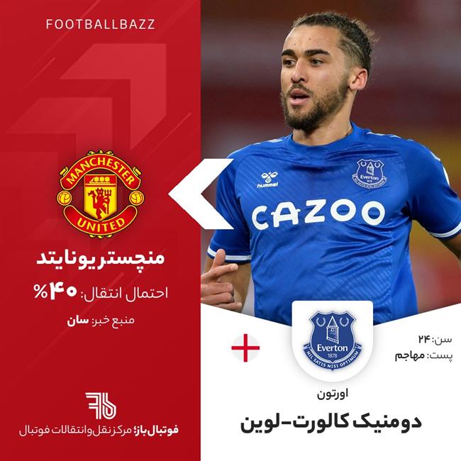 دومنیک کالورت-لوین