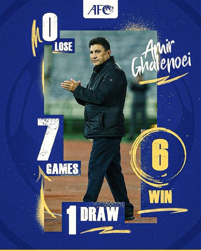 امیر قلعه‌نویی